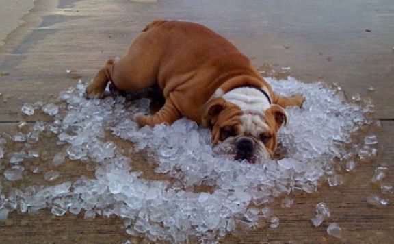 Négy városban is 40 fokot mértek 14 órakor