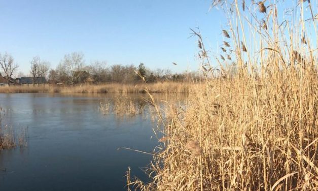 Az európai vizes élőhelyek fele eltűnt az elmúlt 300 évben
