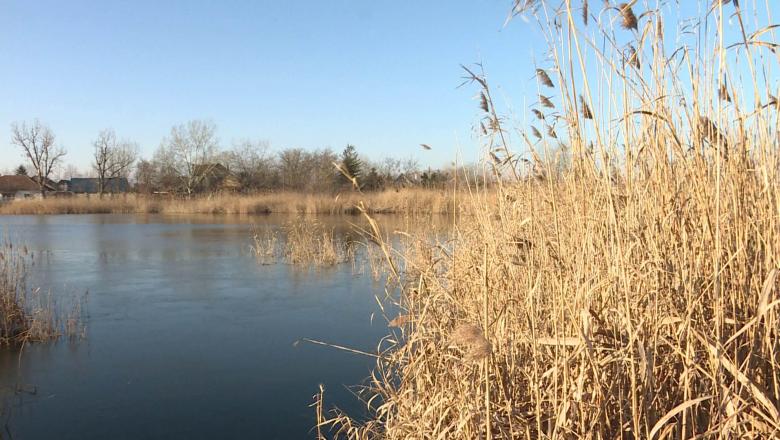Az európai vizes élőhelyek fele eltűnt az elmúlt 300 évben