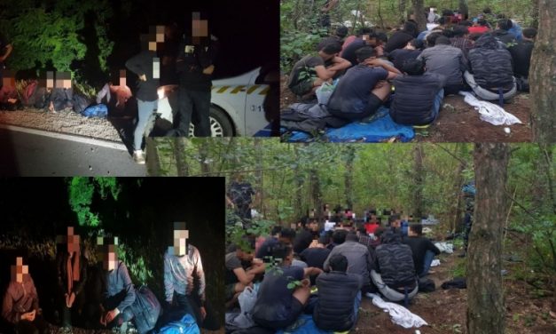 Ötven határsértőt állítottak elő egy éjszaka alatt