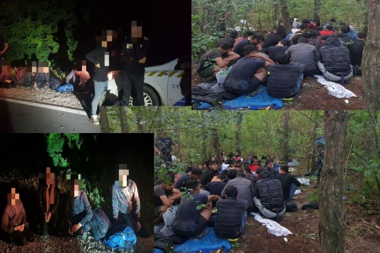 Ötven határsértőt állítottak elő egy éjszaka alatt