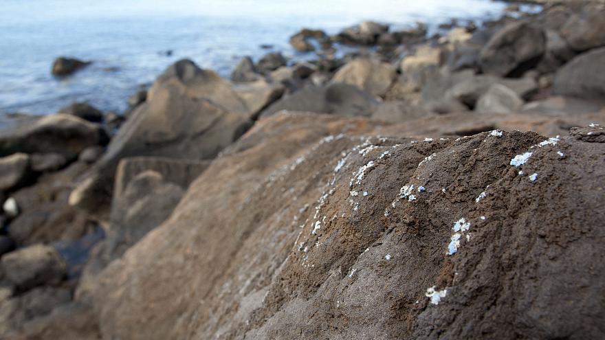 Újabb aggasztó jele van az óceánok műanyag szennyezettségének