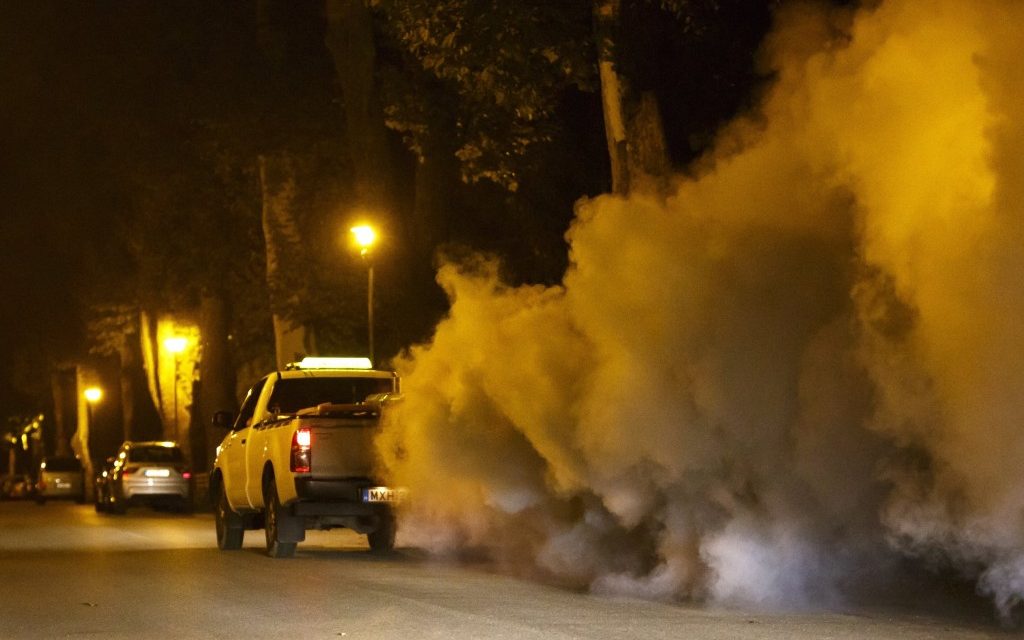 Zenta: Földi szúnyogirtás szombaton a Népkertben