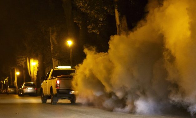 Zenta: Földi szúnyogirtás szombaton a Népkertben