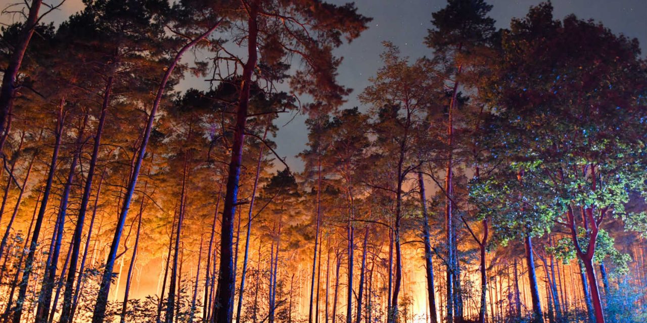 Erdőtűz pusztít Németországban