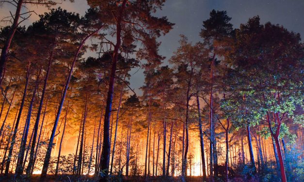 Erdőtűz pusztít Németországban