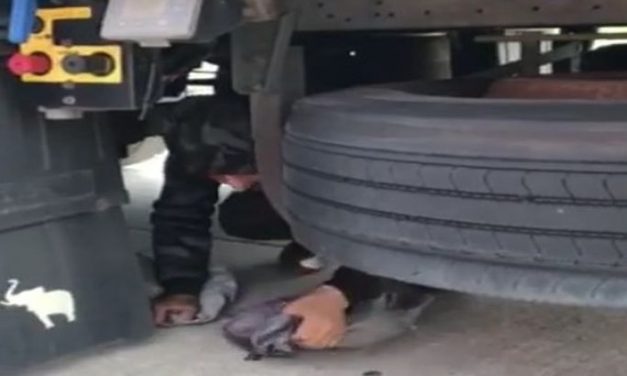 Horgos: A pótkeréknél kuporgó menekültet vettek észre a határőrök