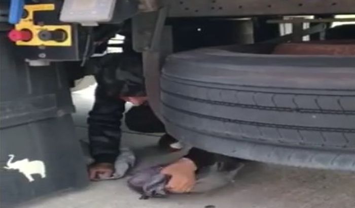 Horgos: A pótkeréknél kuporgó menekültet vettek észre a határőrök