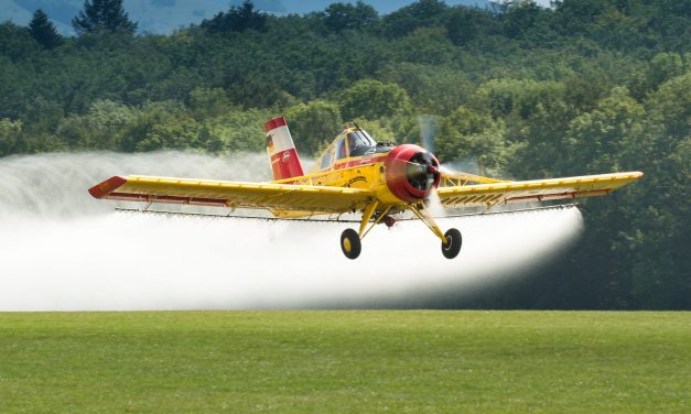 Magyarkanizsa: Szúnyogirtás a tiszavirágzás után