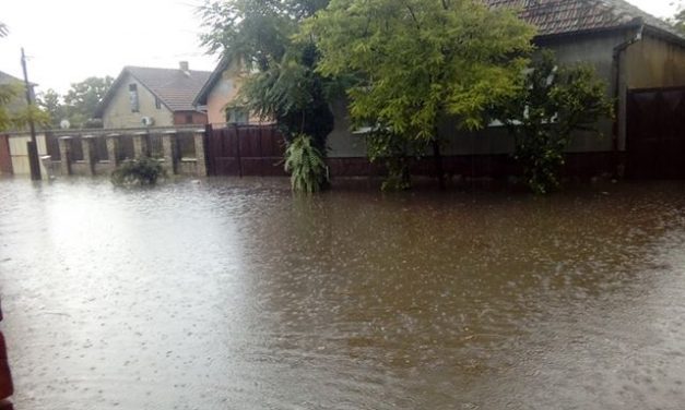 Szabadka: „Minden eső után ez van” (OLVASÓI FOTÓK)