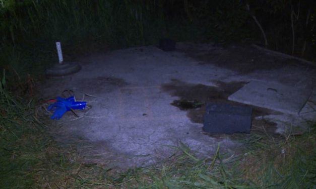 Három holttest az emésztőgödörben