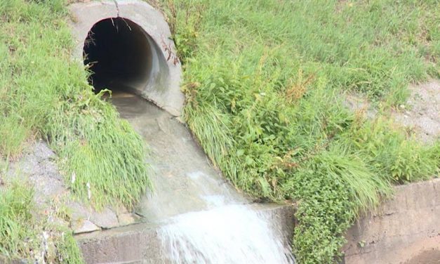 Fél Vajdaság úszik a fekáliában