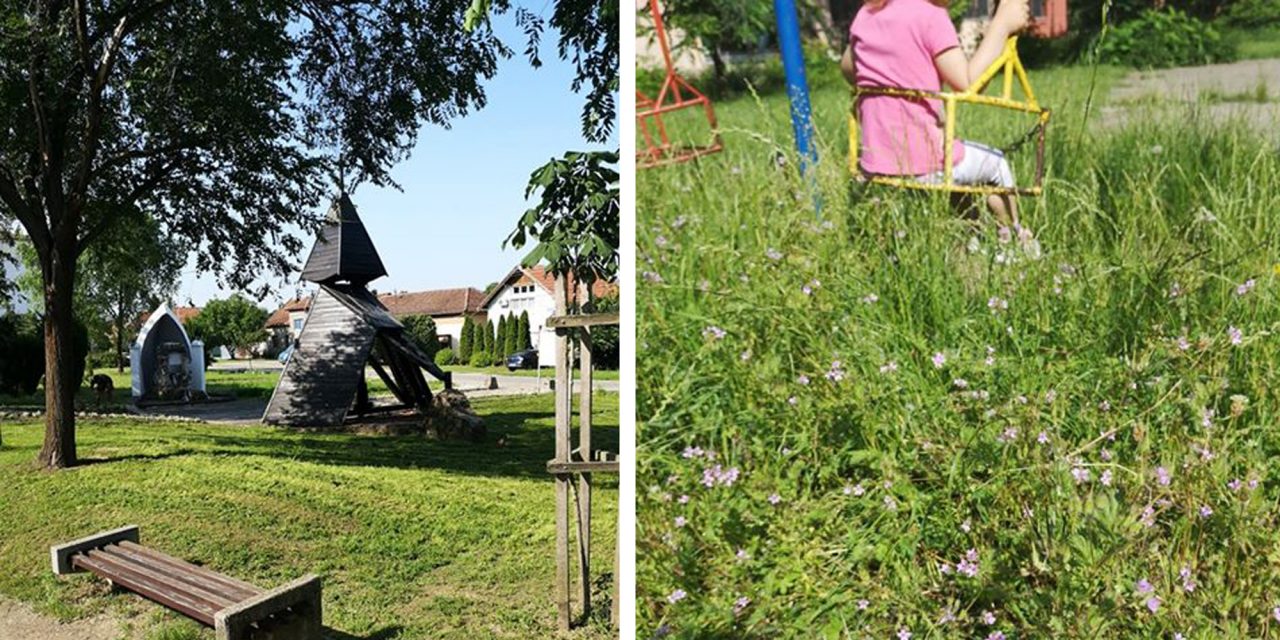 <span class="entry-title-primary">Zenta csak az emlékműig létezik? (Fotók)</span> <span class="entry-subtitle">A játszótéren térdig érő gaz és kullancsok sokasága várja a gyermekeket</span>