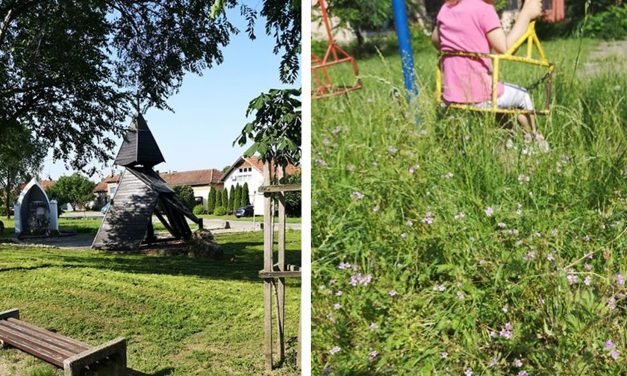 <span class="entry-title-primary">Zenta csak az emlékműig létezik? (Fotók)</span> <span class="entry-subtitle">A játszótéren térdig érő gaz és kullancsok sokasága várja a gyermekeket</span>