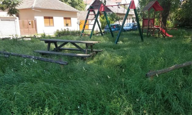 A gazdátlan Zentán így néz ki egy játszótér