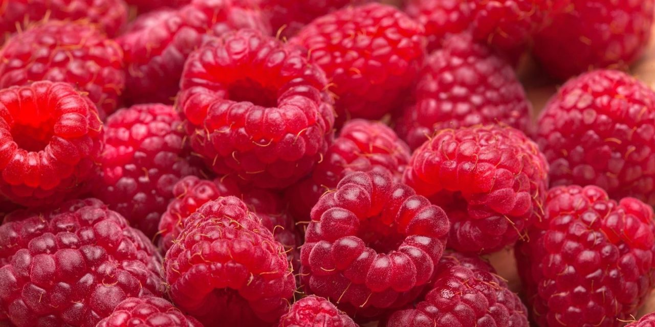 Miért 800 dinár a málna kilója?