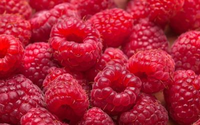 Mindenki tartsa tiszteletben a málna felvásárlási árát