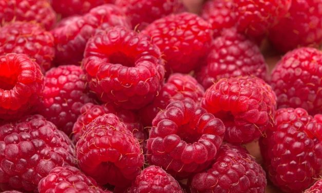 Miért 800 dinár a málna kilója?