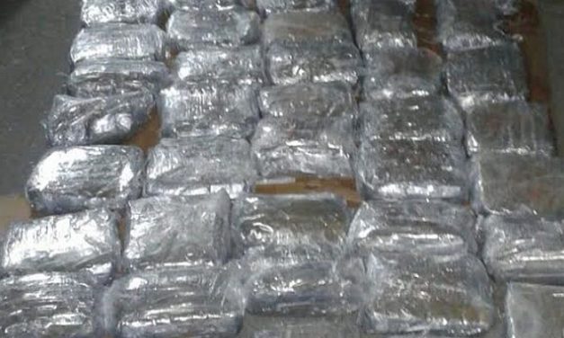 Gombos: Huszonhat kiló marihuánát foglaltak le a rendőrök (Fotók)