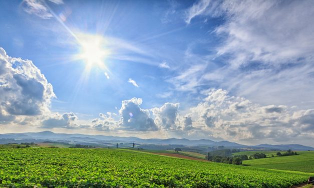 Marad a meleg, nyári idő