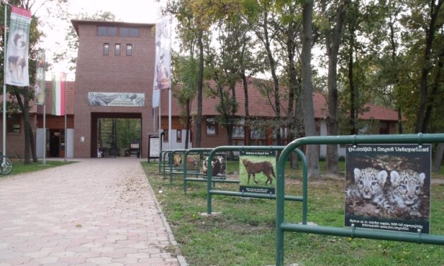 Esti állatkerti túrát szervez a szegedi Vadaspark