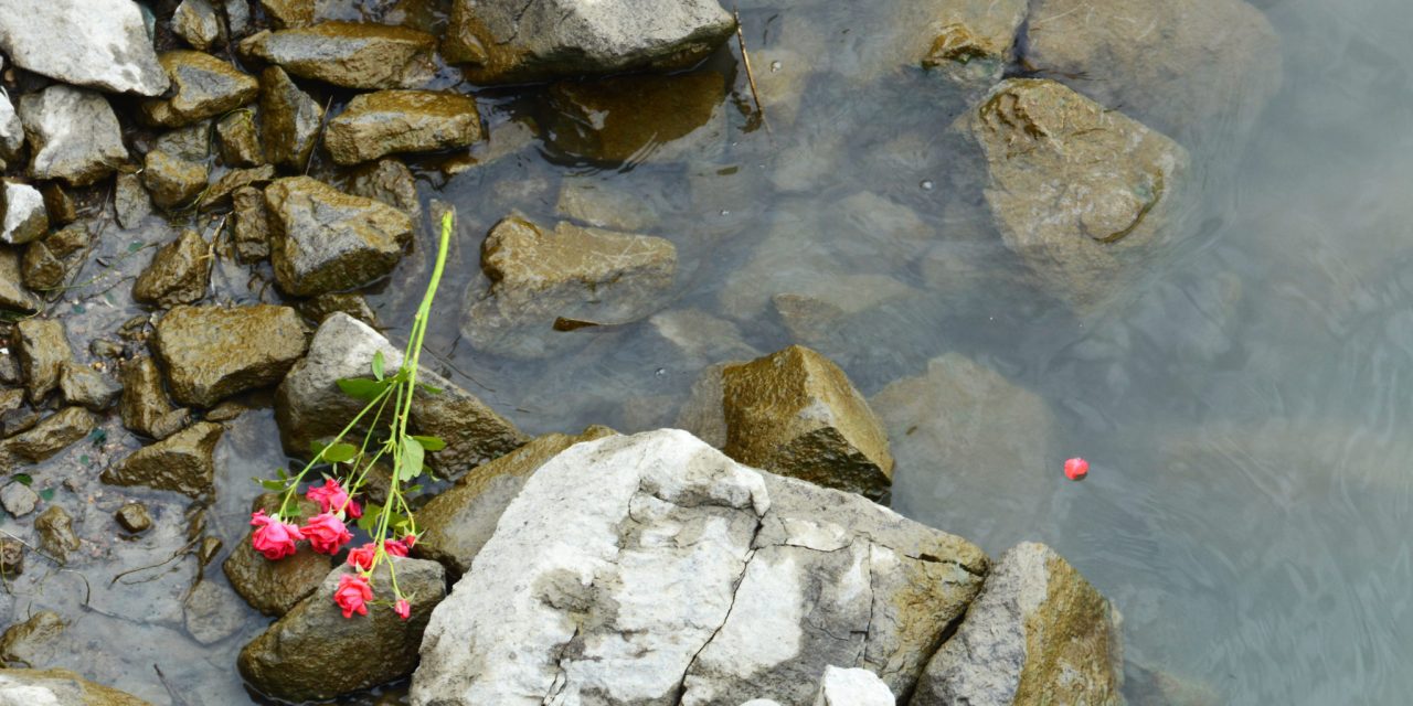 <span class="entry-title-primary">Elbúcsúztatták a Hableány kapitányát és matrózát</span> <span class="entry-subtitle">A budapesti szakaszon közlekedő hajók fekete szalaggal tisztelegnek ma az áldozatok előtt</span>