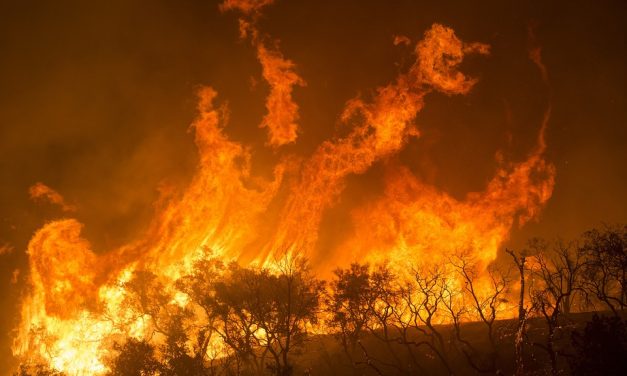Oroszországban 170.000 hektáron pusztít erdőtűz