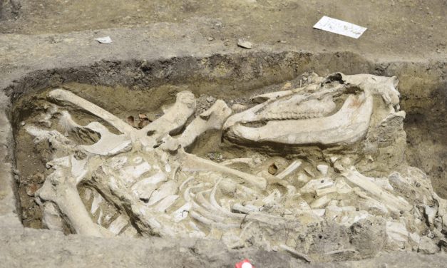 Avar kori fülkesírokat tártak föl Szegeden