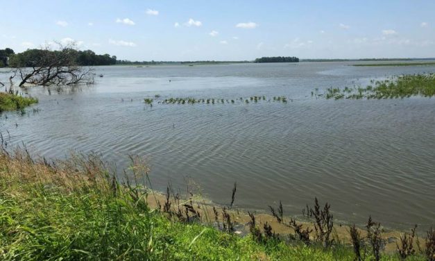 Nyugat-Görögországot elárasztotta a víz