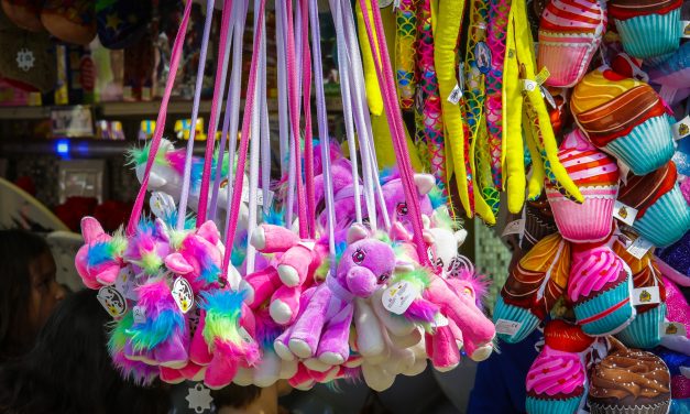 Őrizetbe vettek egy óbecsei fiatalembert, aki Péterrévén játékokat, ruhát és cipőt lopott