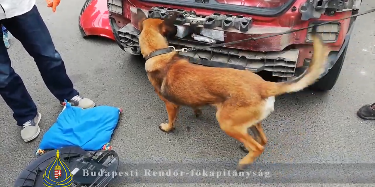 Budapest: Őrizetbe vettek egy szerbiai kábítószer kereskedőt (Videó)