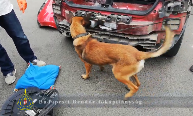 Budapest: Őrizetbe vettek egy szerbiai kábítószer kereskedőt (Videó)