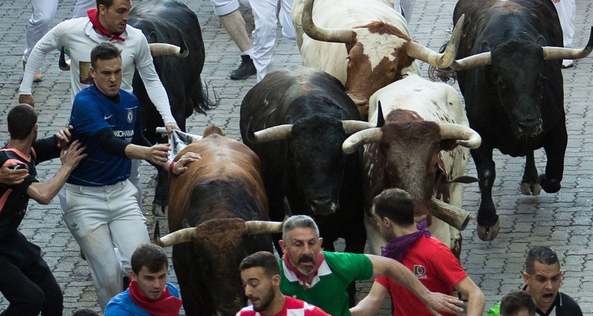 Három embert ökleltek fel a bikák