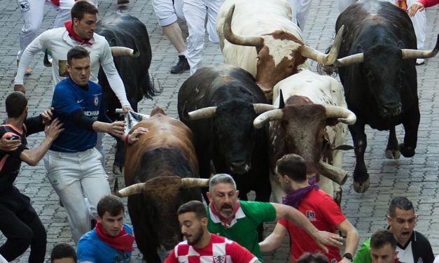 Három embert ökleltek fel a bikák