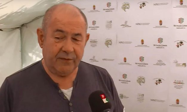 Pásztor: Az utóbbi évszázadban most először fordul elő, hogy Szerbiában előnyt jelent magyarnak lenni