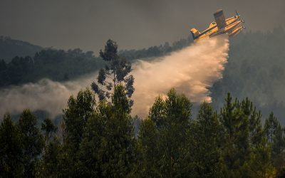 Újabb erdőtűz Horvátországban