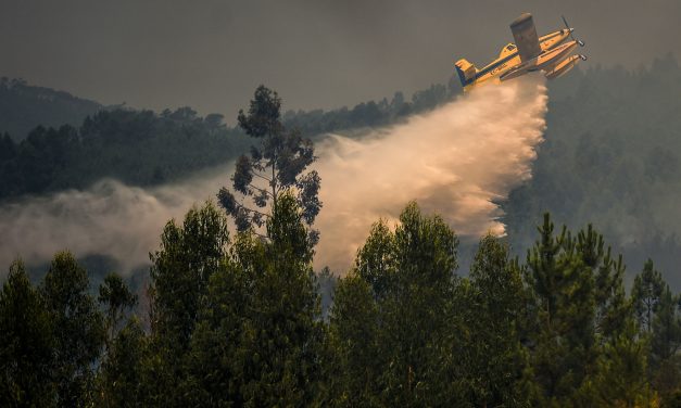 Újabb erdőtűz Horvátországban