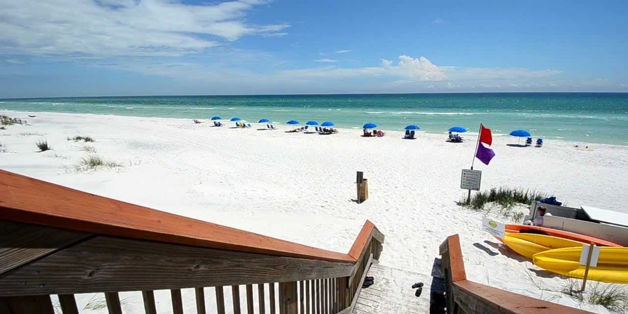 Húsevő baktériumok fertőznek az Egyesült Államok keleti partvidékén