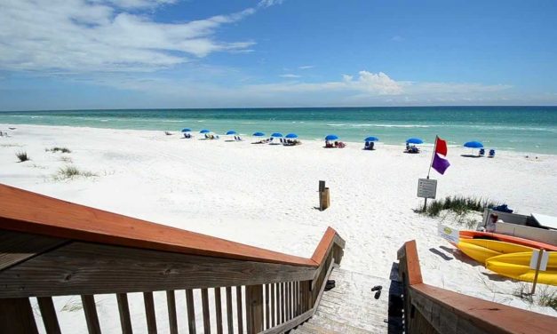 Húsevő baktériumok fertőznek az Egyesült Államok keleti partvidékén