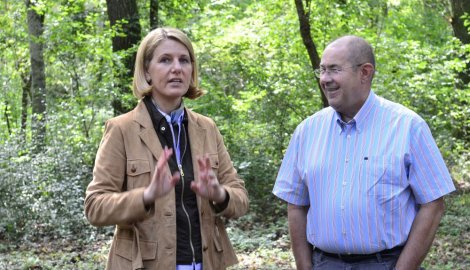 Vajdaság Erdei Közvállalt: A bírósági felszólítás ellenére az új igazgató munkába állt