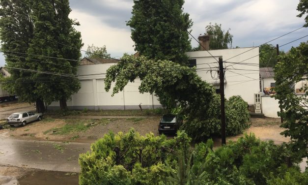 Újvidék: Káoszt okozott a vihar (Fotók+videók)