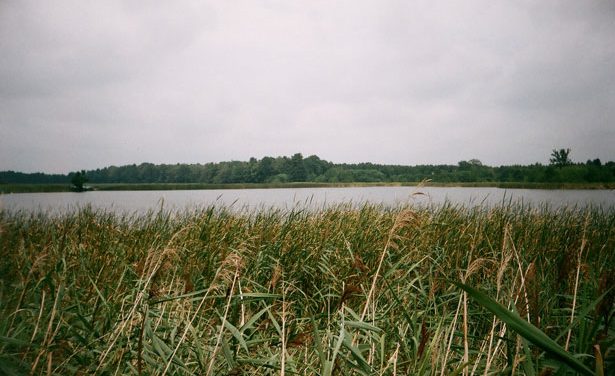 Vajdaság egyre vonzóbb a turisták számára