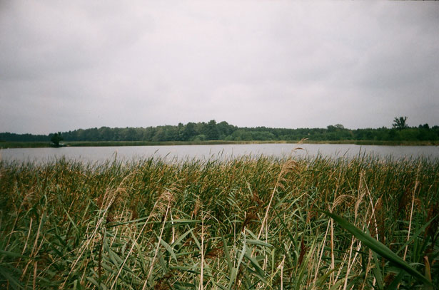 Vajdaság egyre vonzóbb a turisták számára