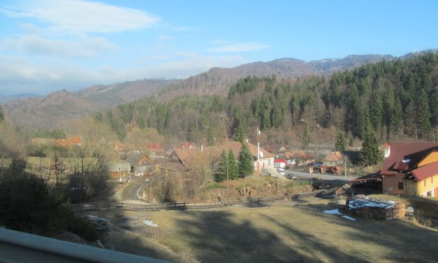 Visszakapta vezetői beosztását a magyarellenességéről elhíresült székelyföldi fogyasztóvédő