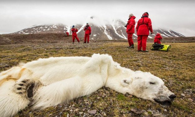 Veszélyben az Ember!