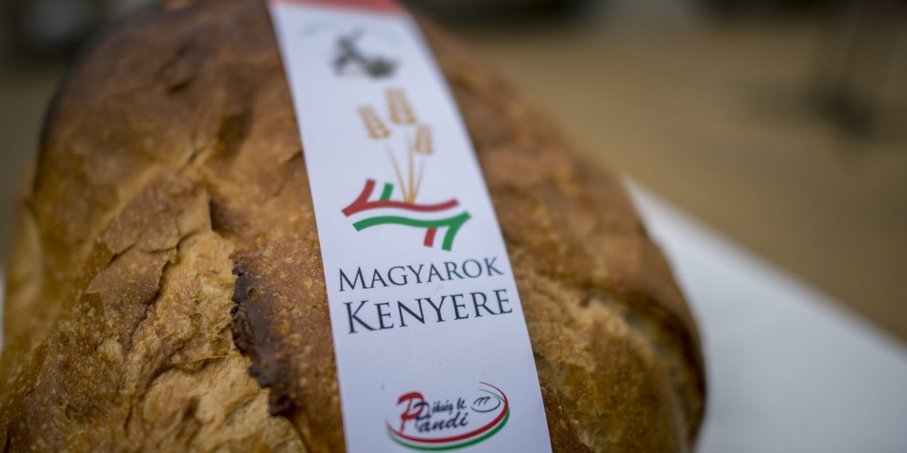 <span class="entry-title-primary">Készül a Magyarok Kenyere!</span> <span class="entry-subtitle">Összeöntötték a kárpátaljai magyar gazdák által összegyűjtött búzát Nagydobronyban</span>