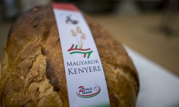 <span class="entry-title-primary">Készül a Magyarok Kenyere!</span> <span class="entry-subtitle">Összeöntötték a kárpátaljai magyar gazdák által összegyűjtött búzát Nagydobronyban</span>