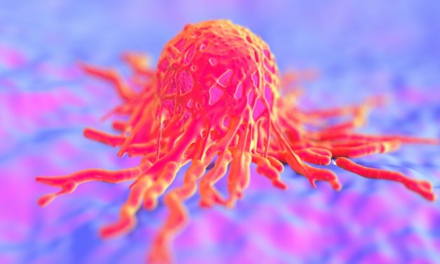 <span class="entry-title-primary">„Tumor, miért vagy te nekem?”</span> <span class="entry-subtitle">Családi Kör (2019. augusztus 15.) – lapszemle</span>