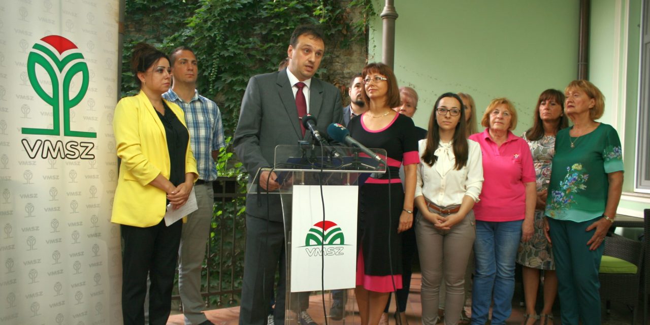 VMSZ: Megkezdődött a palicsi csatornahálózat kiépítése