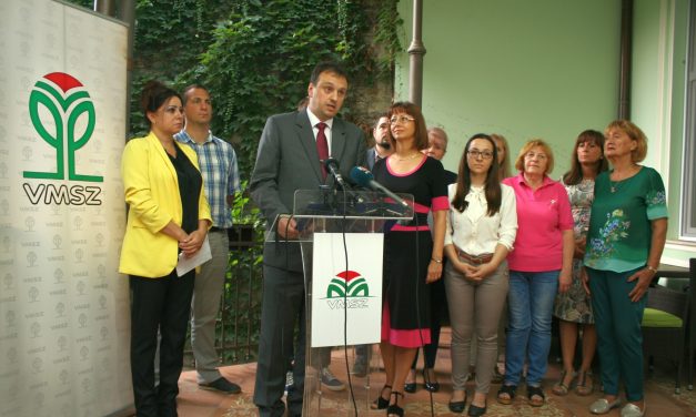 VMSZ: Megkezdődött a palicsi csatornahálózat kiépítése